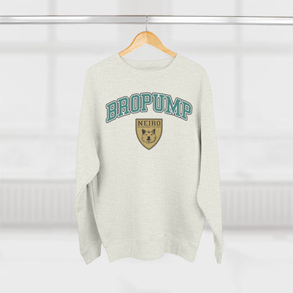 BROPUMP UNIVERSITY