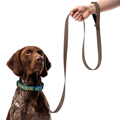 Certified Guardian Collar