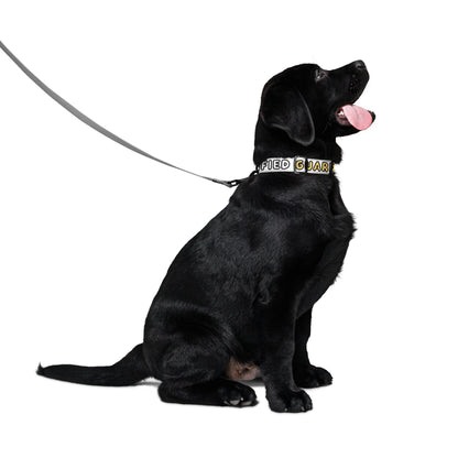 Certified Guardian Collar